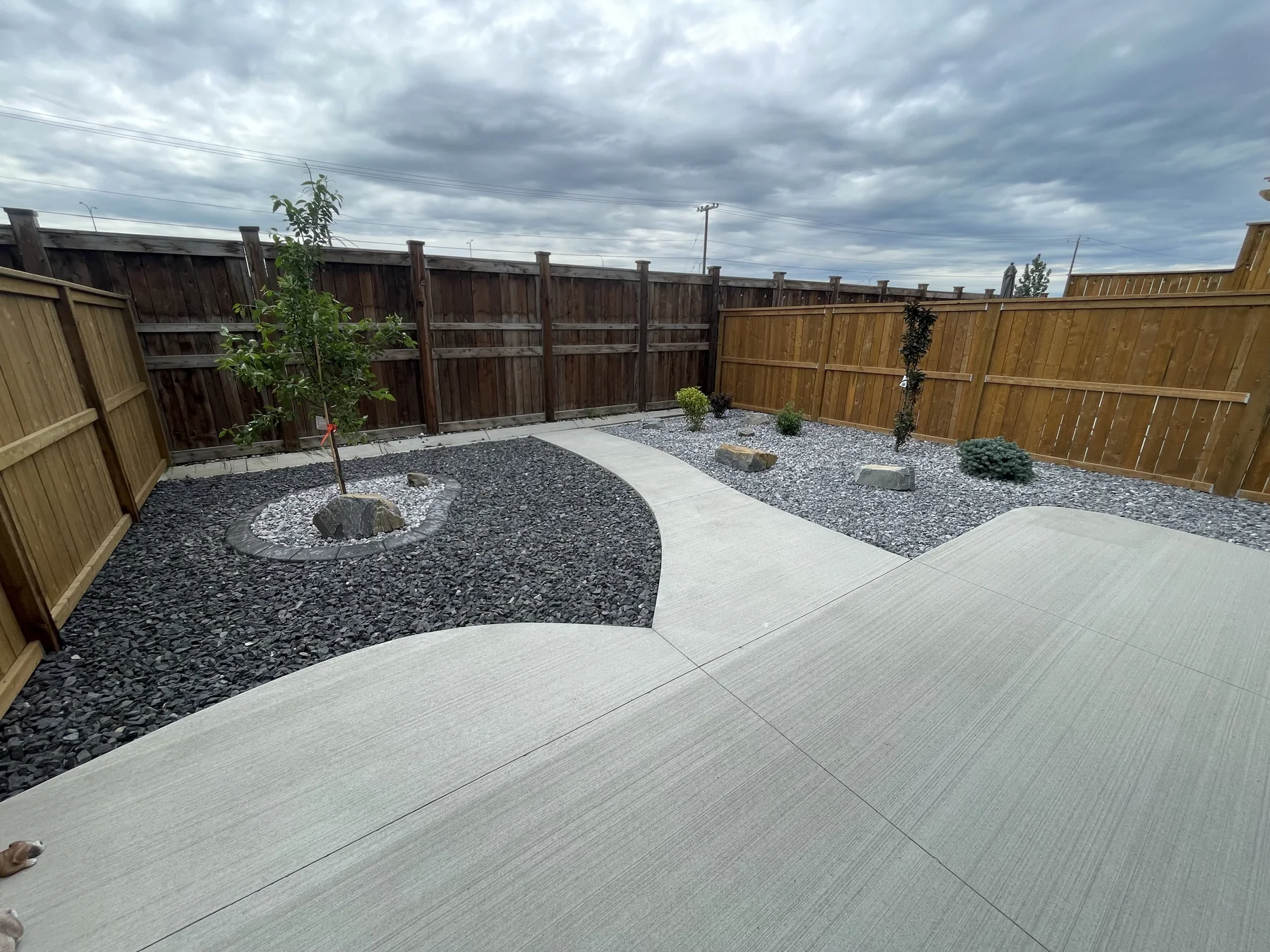 Curved concrete walkways through decorative rock beds and new backyard planting