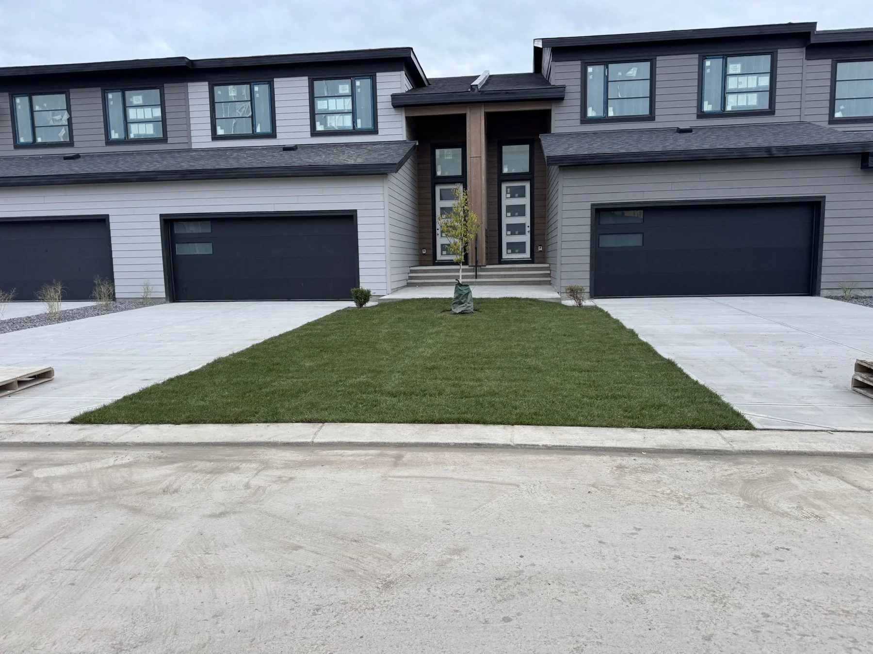 Fresh front lawn and tree installation at a contemporary Calgary townhome
